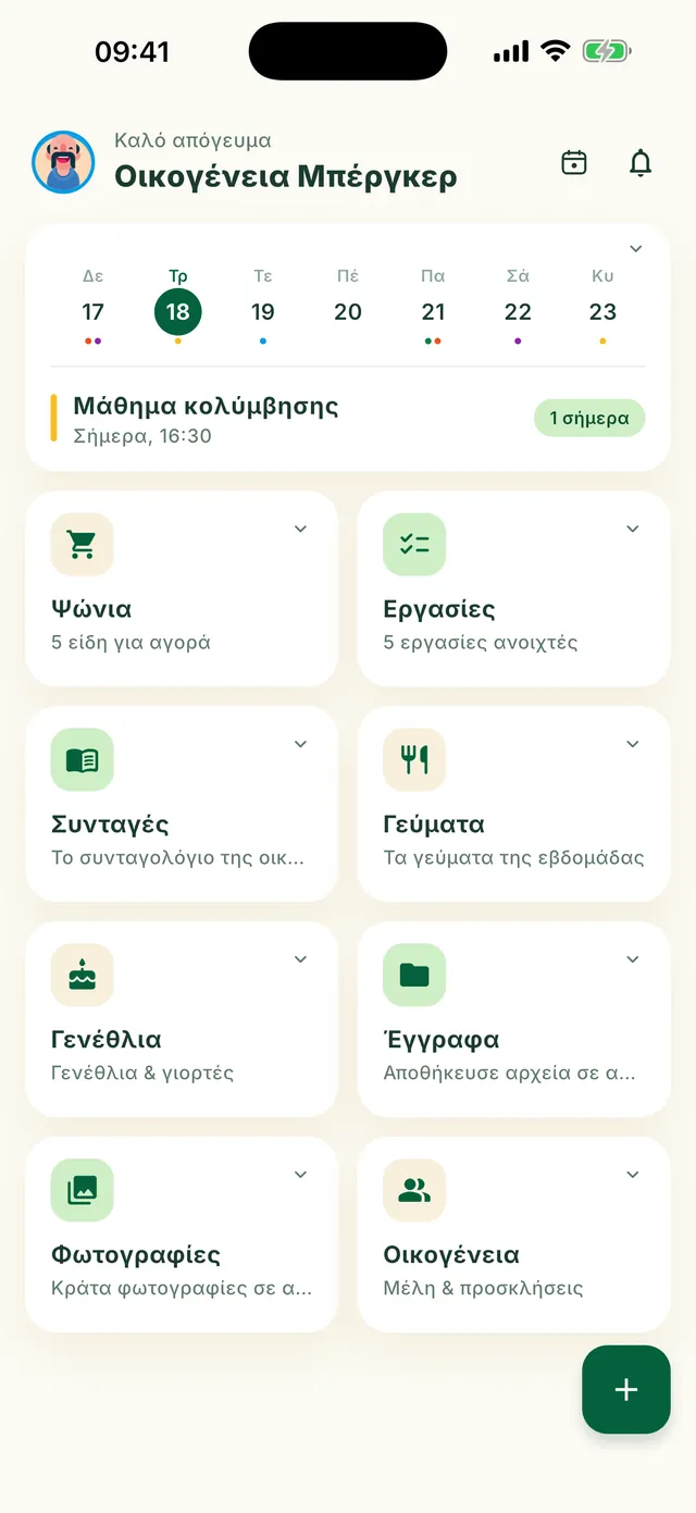 Αρχική οθόνη του Daili με πλακίδια λειτουργιών