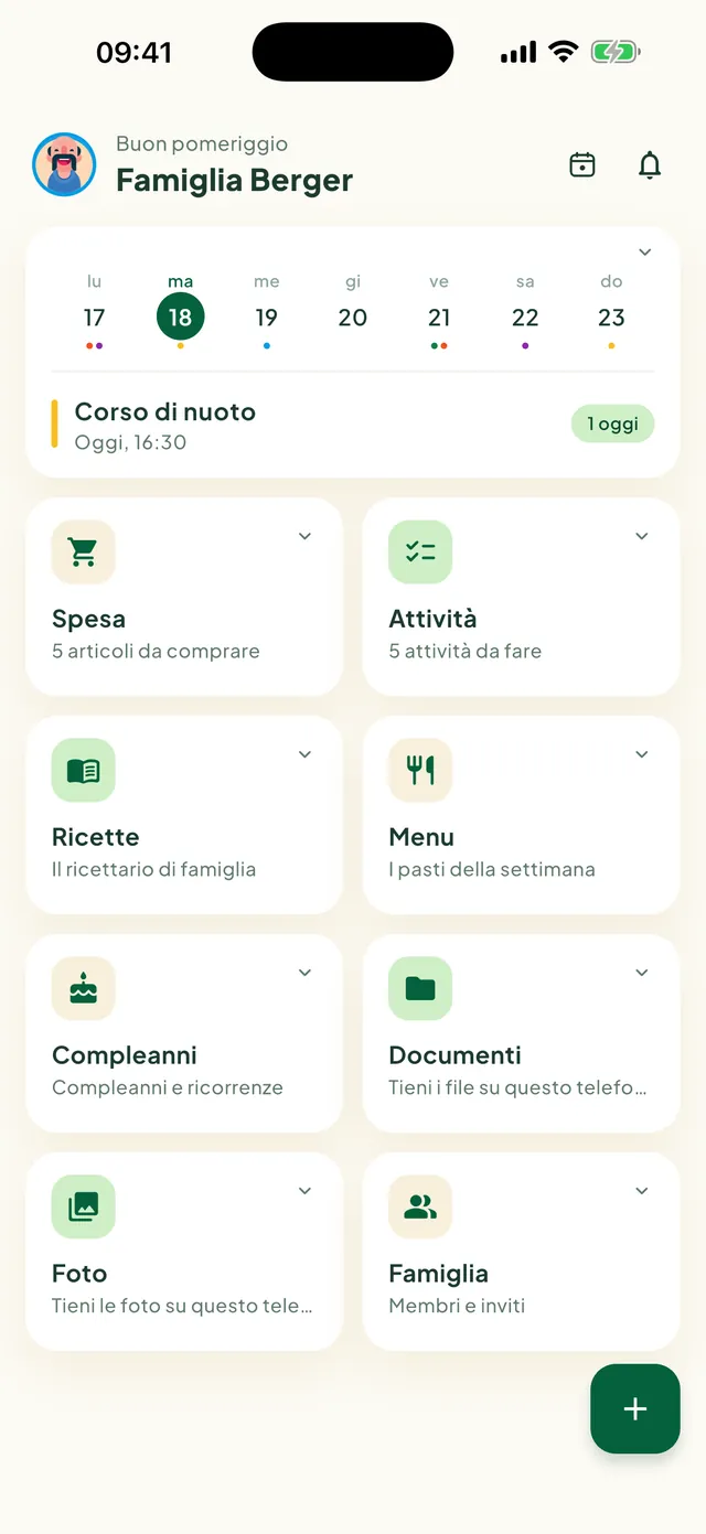 Schermata iniziale di Daili con i riquadri delle funzioni