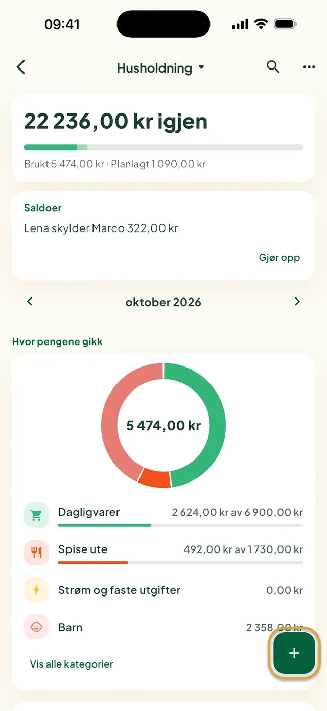 Et familiebudsjett i Daili-appen