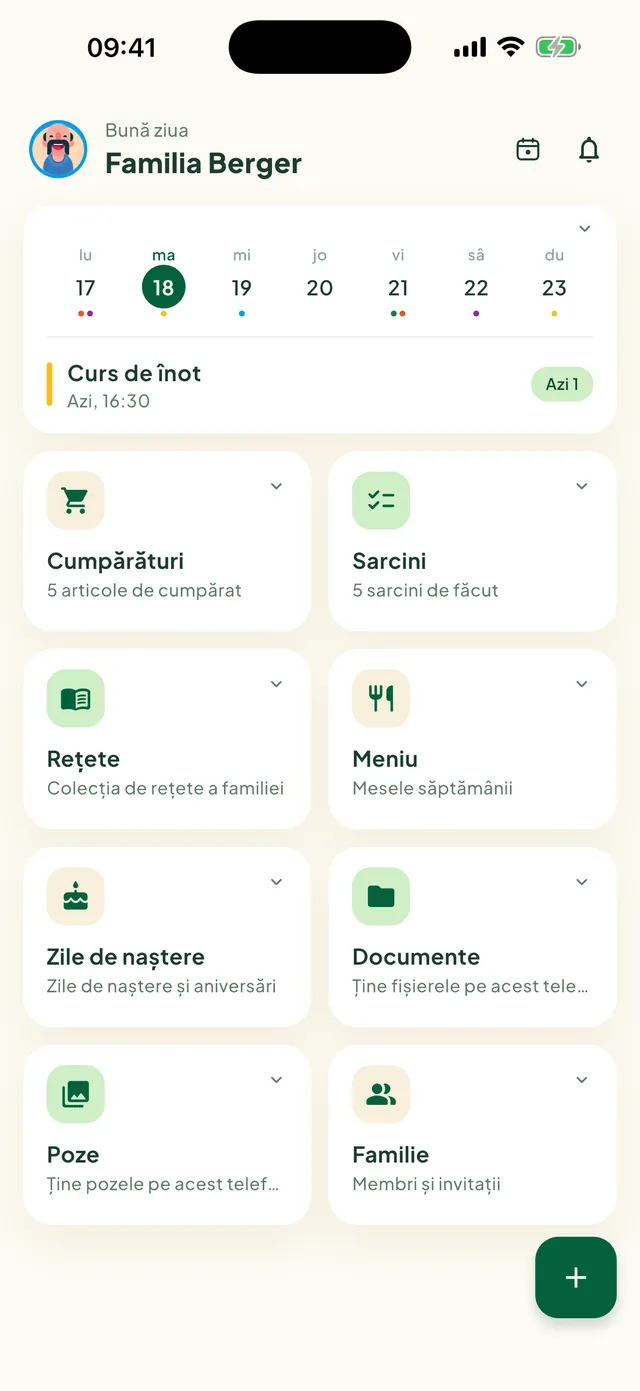 Ecranul principal Daili, cu plăci de funcții