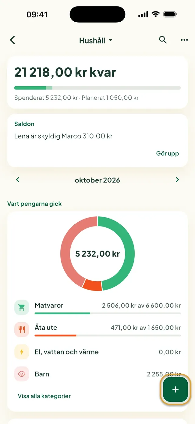 En hushållsbudget i Daili-appen