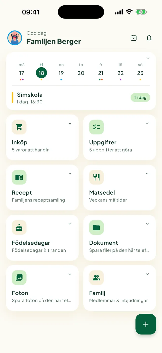 Startskärmen i Daili med rutorna för funktionerna