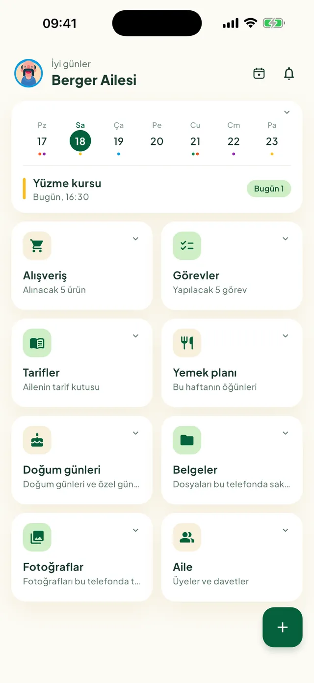 Daili ana ekranı ve özellik kutucukları