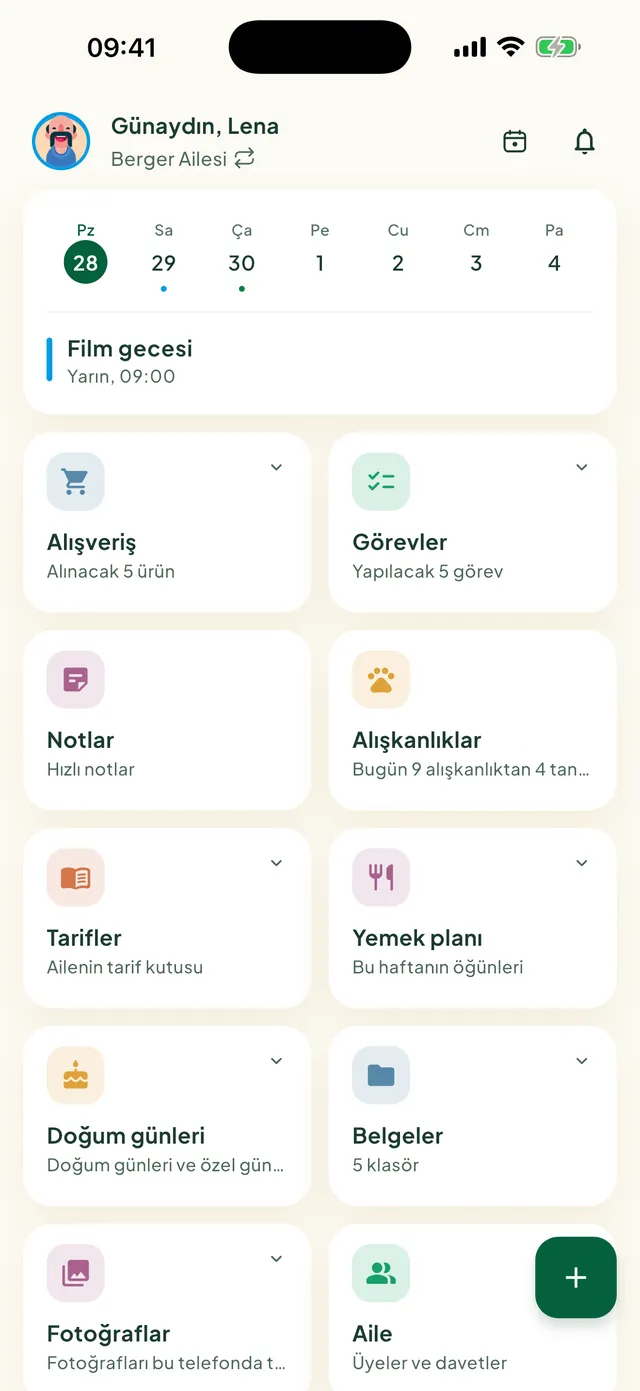 Daili uygulamasının ana ekranı