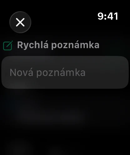 Rychlá poznámka na hodinkách, připravená k diktování.