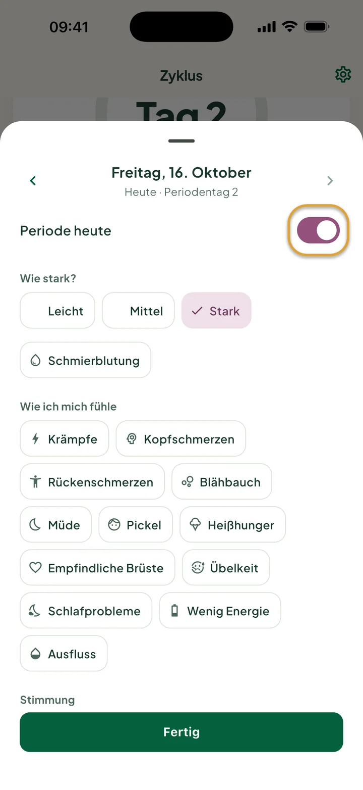Das Fenster für Freitag, 16. Oktober: Periode heute ist an und Stark ist gewählt. Der Schalter ist eingekreist.