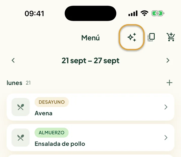 La parte de arriba del Menú. El botón del destello, junto al botón de copiar, está marcado con un círculo.