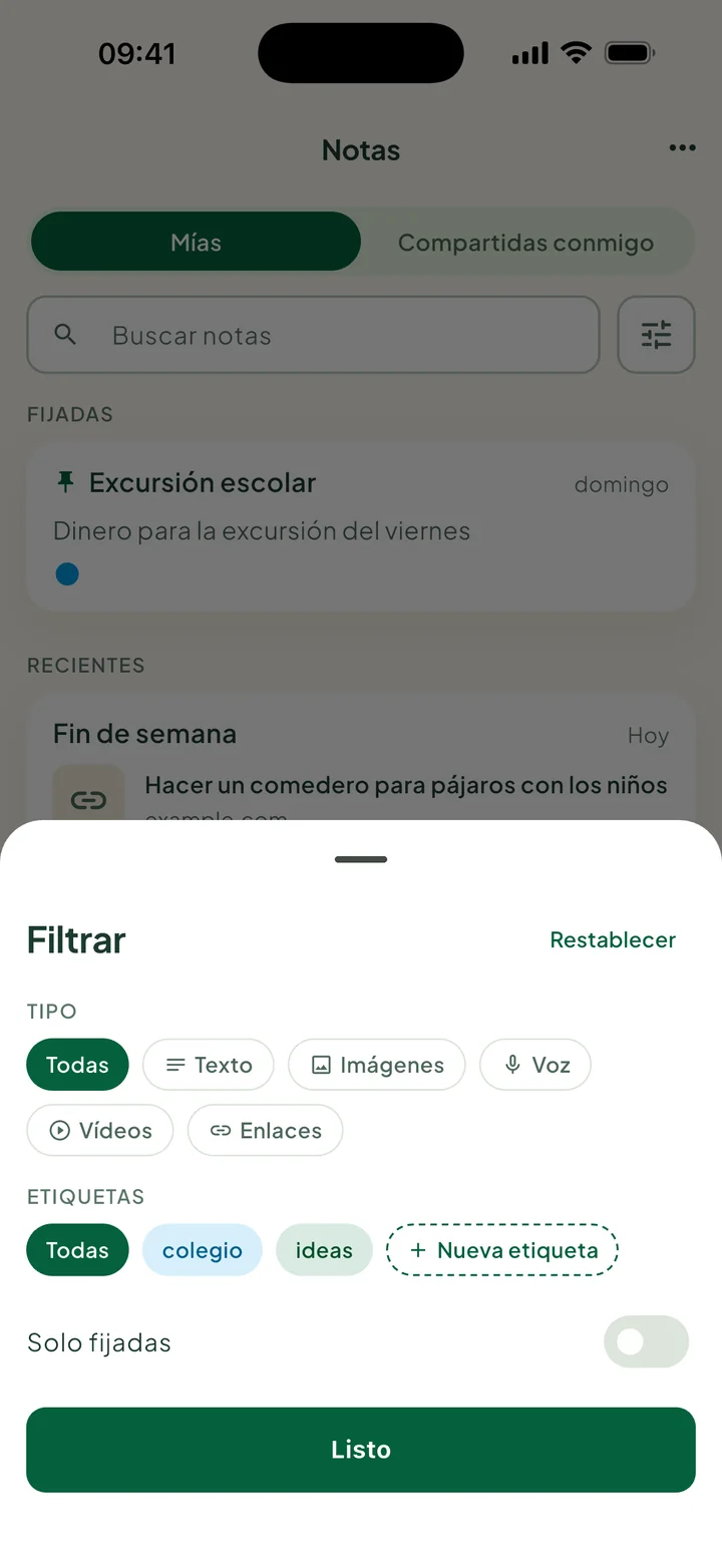 La hoja Filtrar: Tipo, Etiquetas con Nueva etiqueta, y Solo fijadas.