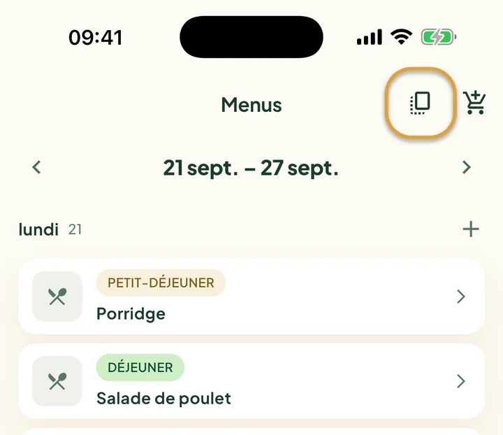 Le haut des Menus. Le bouton de copie à côté du caddie est entouré.