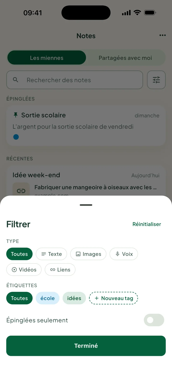 La fiche Filtrer : Type, Étiquettes avec Nouveau tag, et Épinglées seulement.
