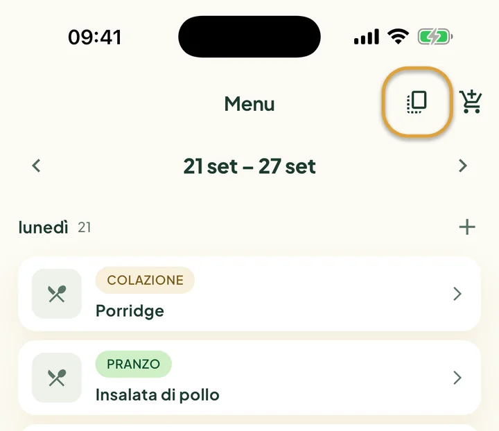 La parte alta del Menu. Il pulsante per copiare accanto al carrello è cerchiato.
