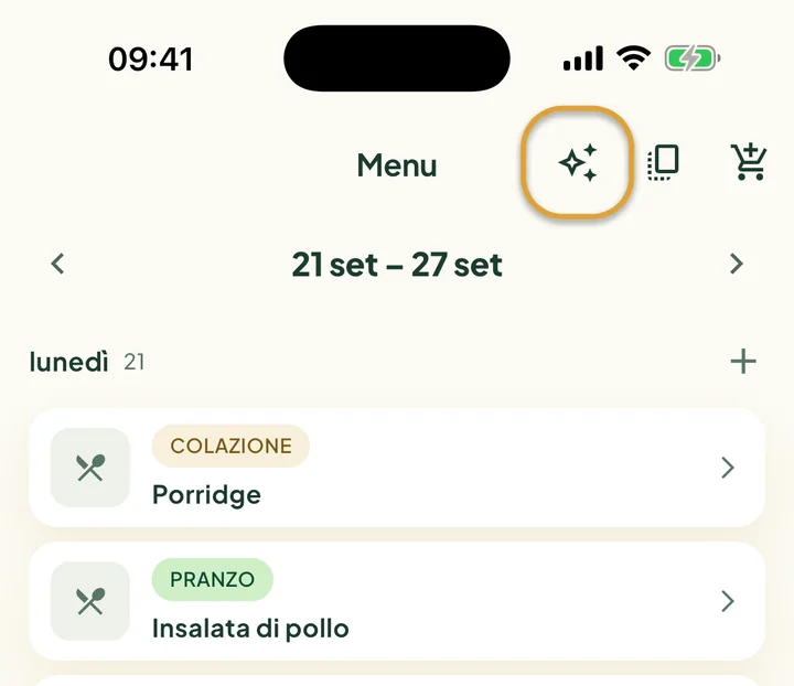 La parte alta del Menu. Il pulsante con le scintille accanto al pulsante copia è cerchiato.