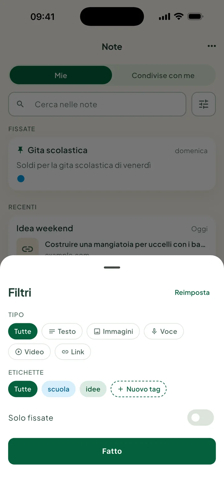 Il pannello Filtri: Tipo, Etichette con Nuovo tag, e Solo fissate.
