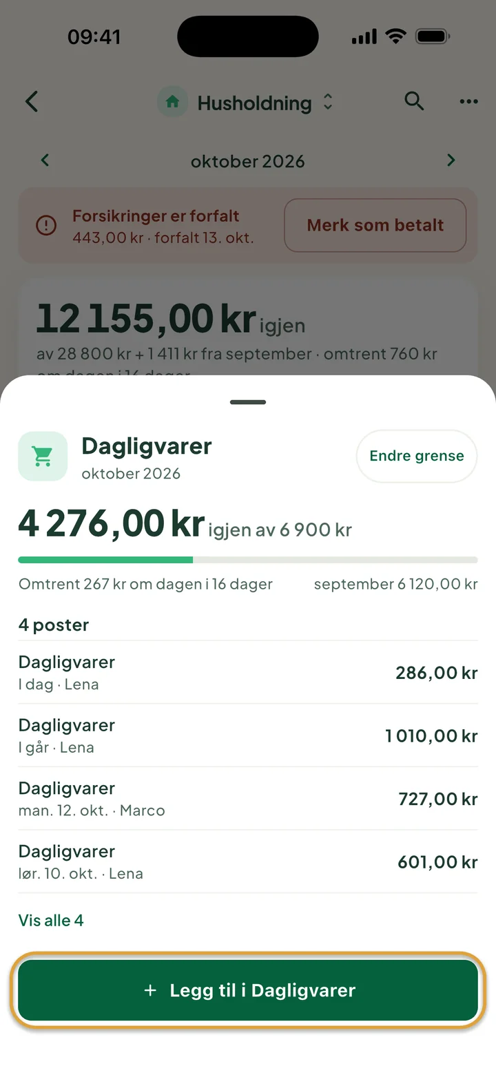 Arket Dagligvarer: 4 276,00 kr igjen av 6 900 kr og fire poster. Knappen Legg til i Dagligvarer er ringet inn.