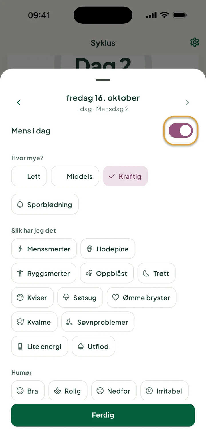 Dagarket for fredag 16. oktober: Mens i dag er på, og Kraftig er valgt. Bryteren er ringet inn.