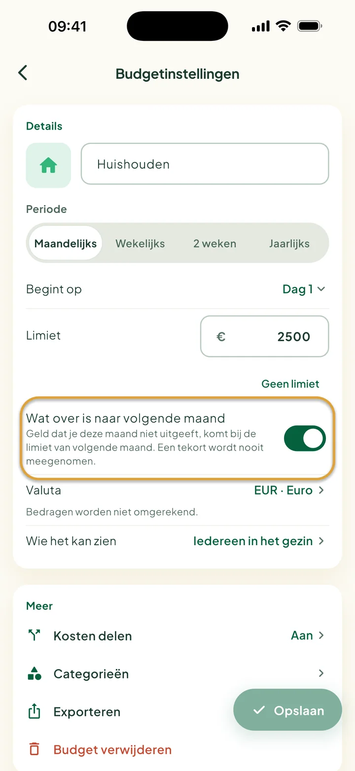 Budgetinstellingen met Wat over is naar volgende maand aangezet. De schakelaar is omcirkeld.
