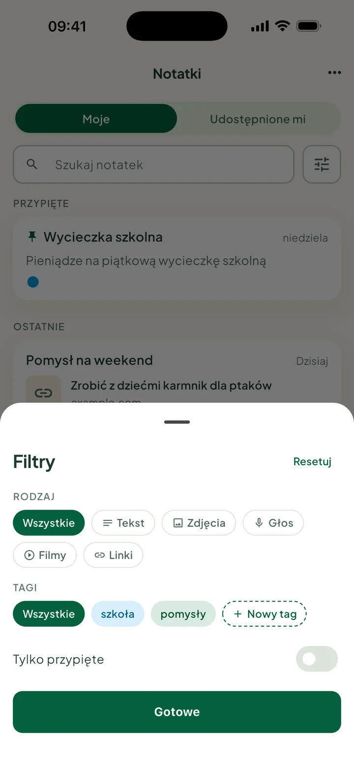 Panel Filtry: Rodzaj, Tagi z opcją Nowy tag oraz Tylko przypięte.