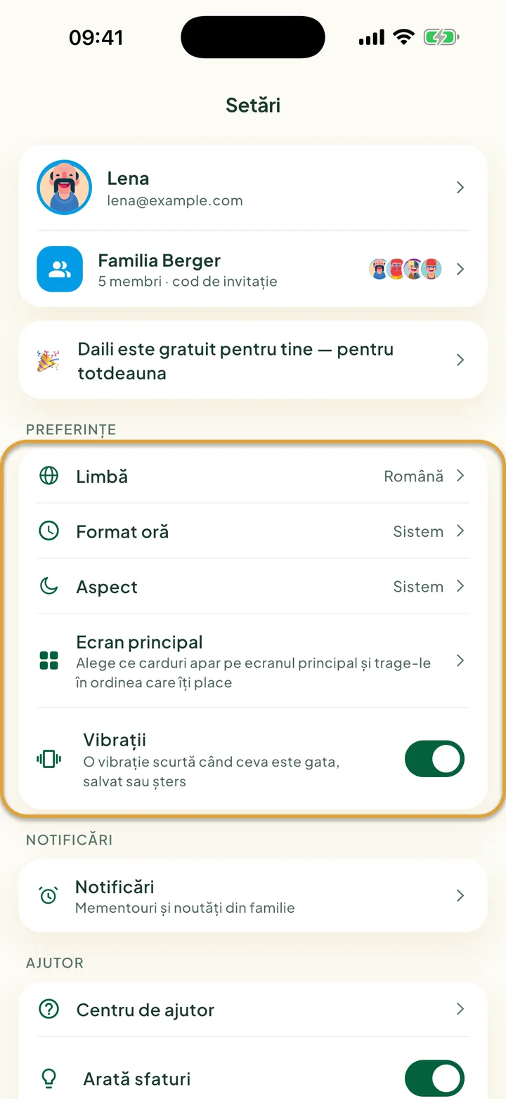 Ecranul Setări. Cardul Preferințe, cu Limbă, Format oră, Aspect, Ecran principal și Vibrații, este încercuit.