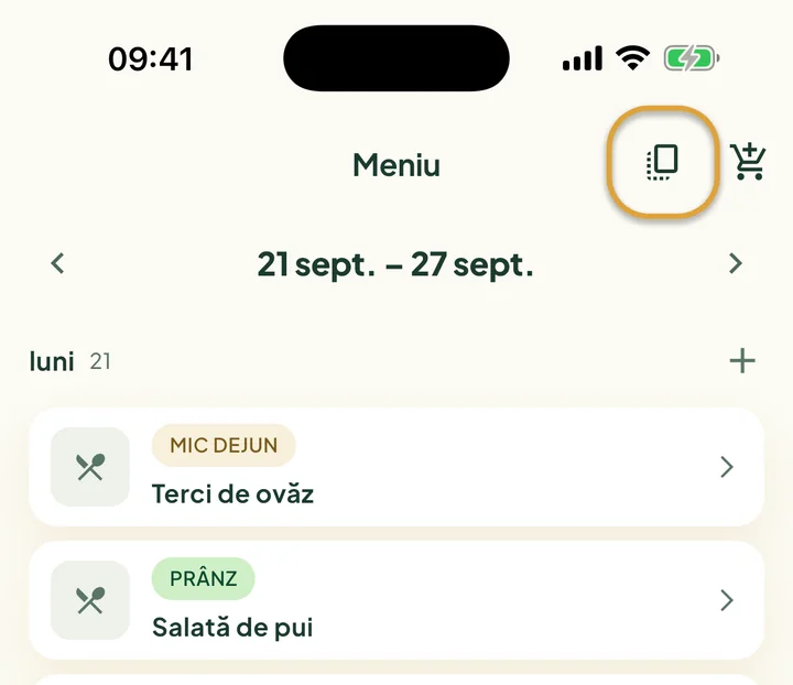 Partea de sus a ecranului Meniu. Butonul de copiere de lângă coșul de cumpărături este încercuit.