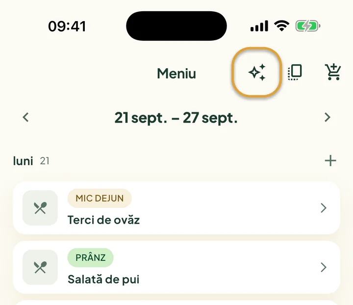 Partea de sus a Meniului. Butonul cu steluțe de lângă butonul de copiere este încercuit.
