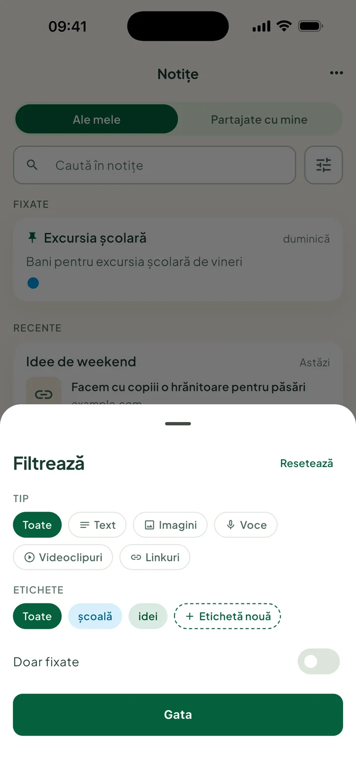 Panoul Filtrează: Tip, Etichete cu Etichetă nouă și Doar fixate.