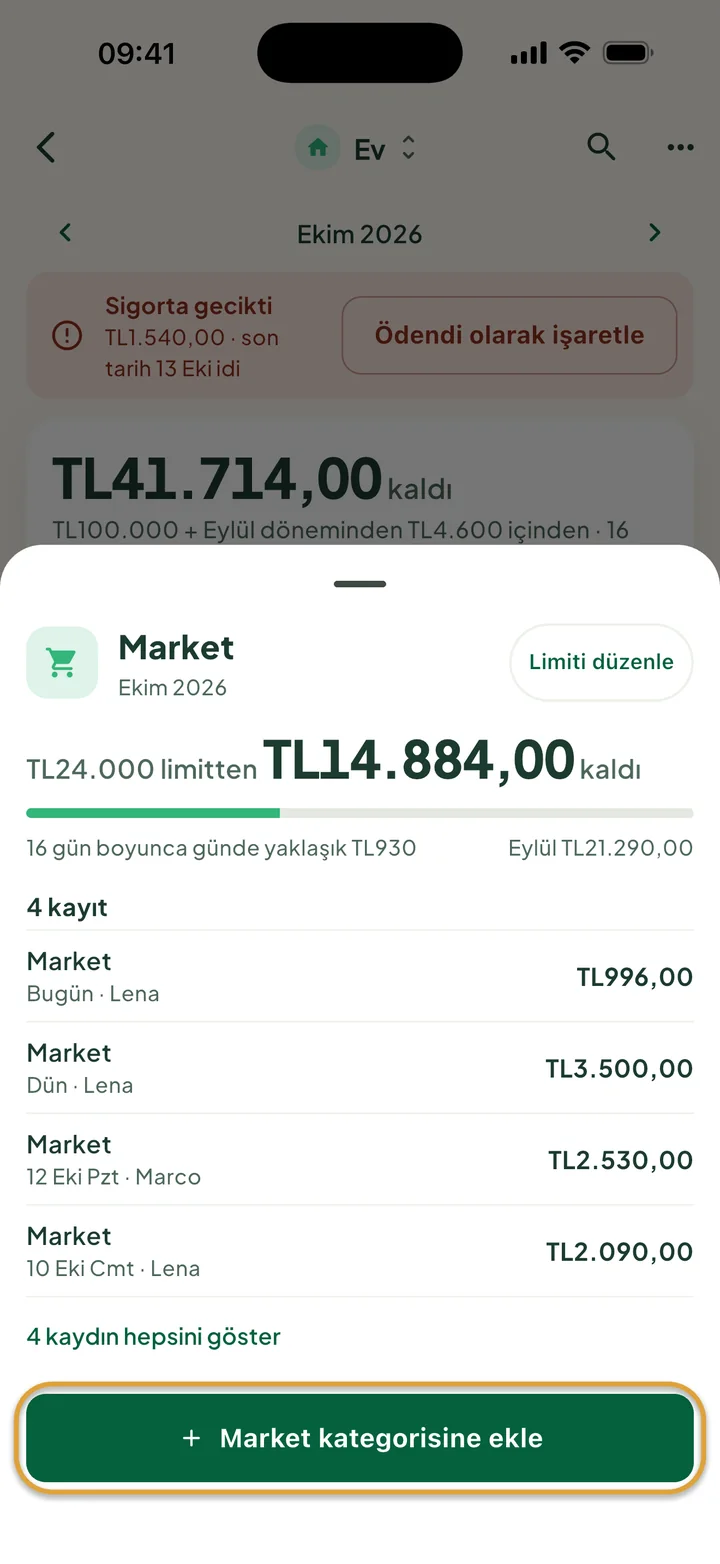 Market sayfası: TL24.000 limitten TL14.884,00 kaldı ve dört kayıt var. Market kategorisine ekle düğmesi daire içine alınmış.