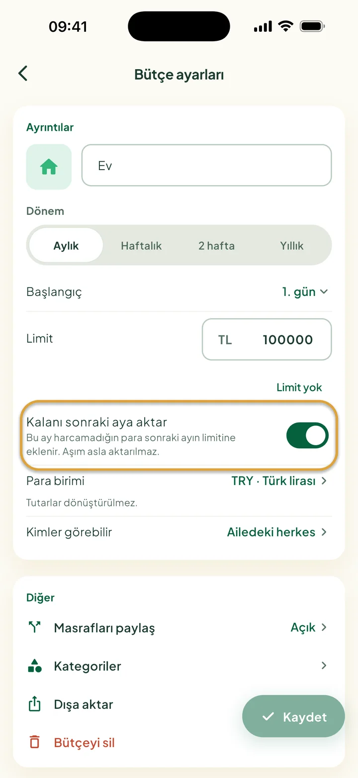 Kalanı sonraki aya aktar seçeneği açık olan Bütçe ayarları. Anahtar daire içine alınmış.