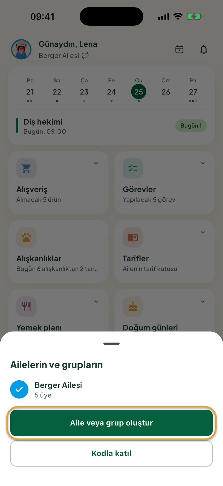 Ana ekranın üzerinde Ailelerin ve grupların paneli. Aile veya grup oluştur düğmesi daire içine alınmış.