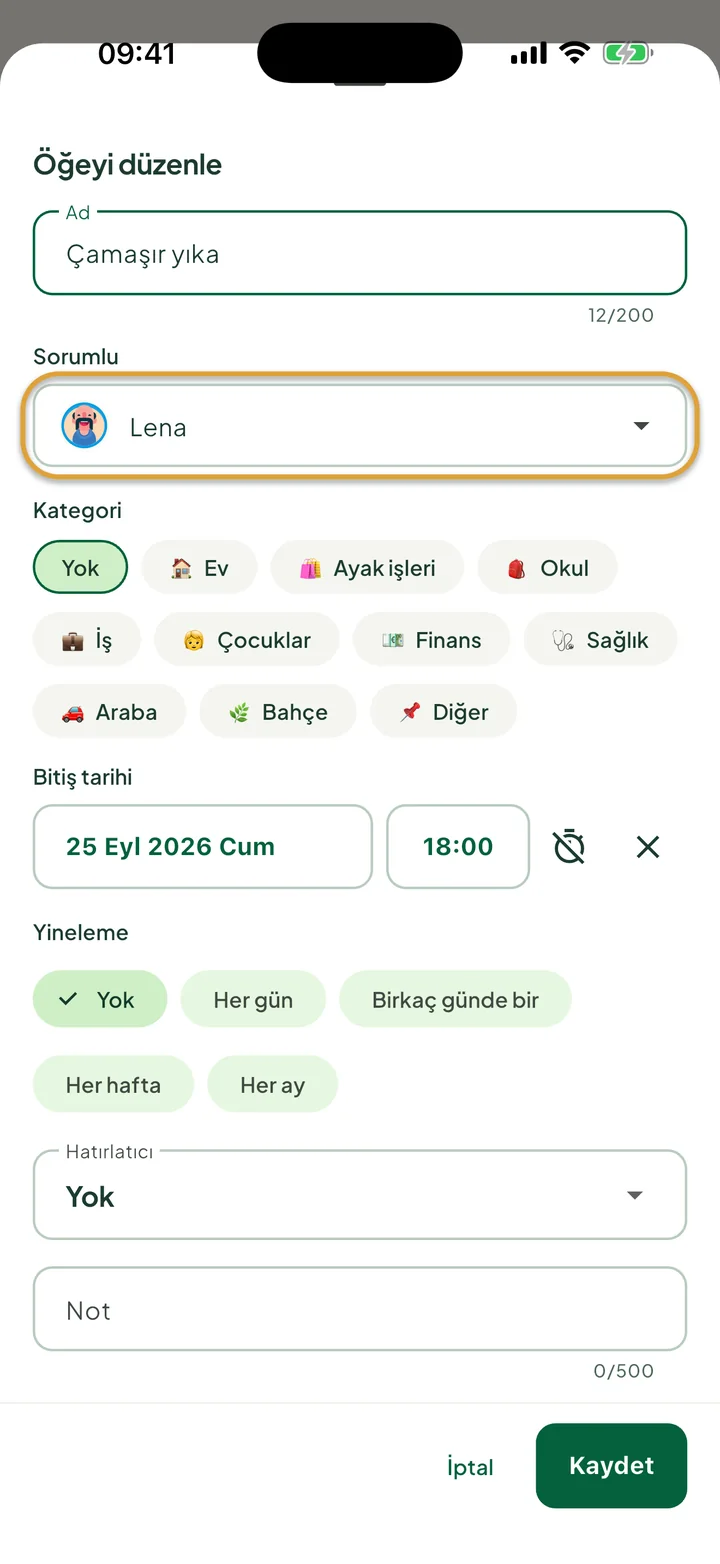Bir görev için öğe düzenleme paneli. Lena olarak ayarlanmış Sorumlu alanı daire içine alınmış.