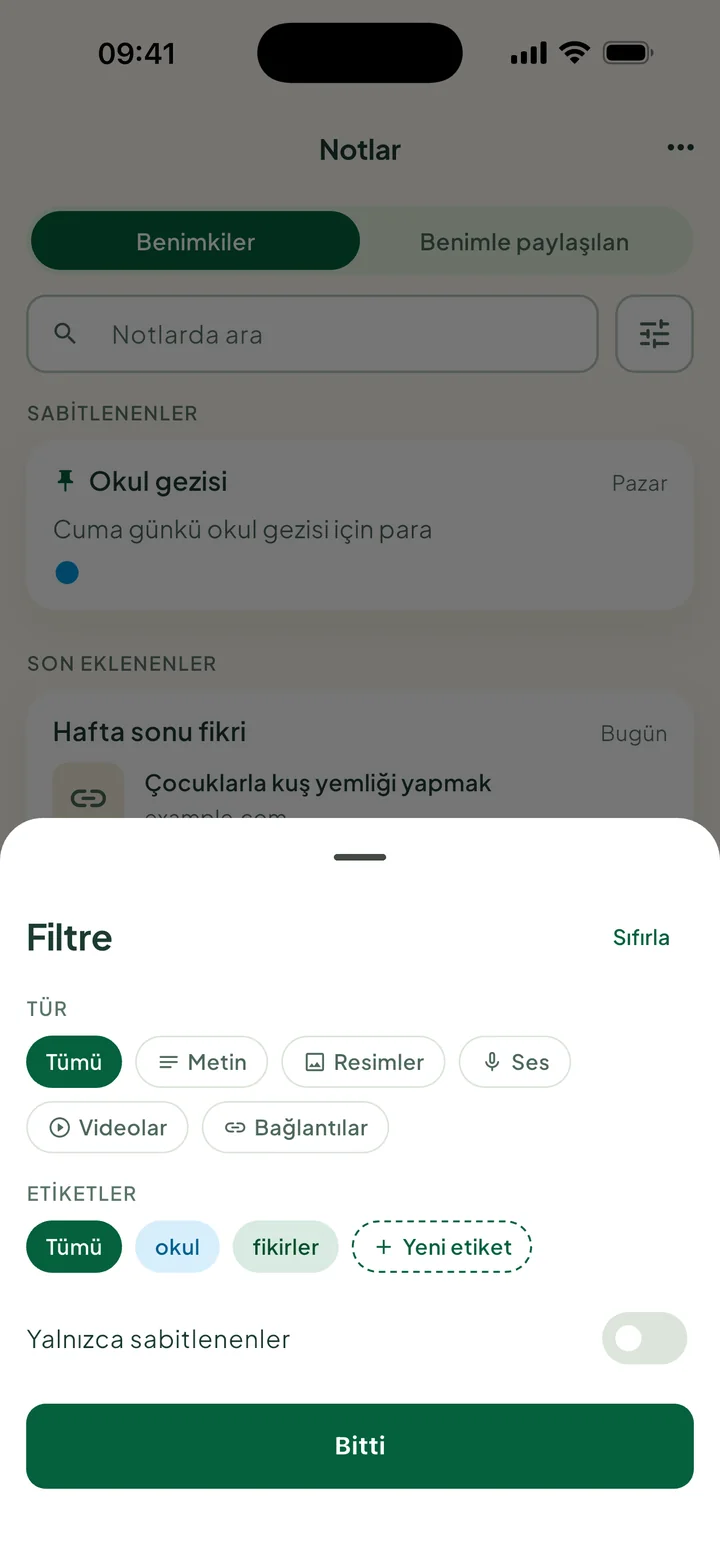 Filtre paneli: Tür, Yeni etiket seçeneğiyle Etiketler ve Yalnızca sabitlenenler.